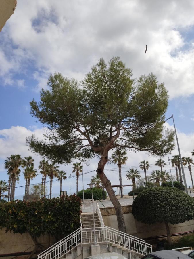 Apartamento Mare Nostrum Playa Arrabassada Tarragona Buitenkant foto